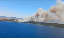 İzmir'in 2 İlçesinde Orman Yangını