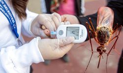 Uzmanından Diyabet Hastalarına Sivrisinek Uyarısı