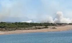Antalya’da Orman Yangını : Kontrol Altına Alındı