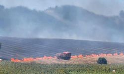 Bursa Yenişehir’de Buğday Tarlasında Çıkan Yangın Ormana İlerliyor