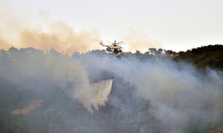 Hatay'daki Orman Yangını 2 Gündür Devam Ediyor
