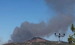 Gaziantep'te Orman Yangını