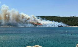 Urla'daki Maki Yangınının Sebebi Belli Oldu: Enerji Nakil Hattından Çıkmış