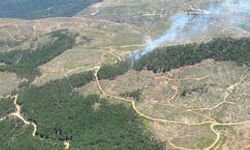 Muğla’da Orman Yangını