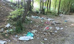 Belgrad Ormanı'nda 3 Günde 18 Ton Çöp Toplandı