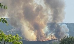 Kütahya'da Orman Yangını Meydana Geldi