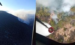 Bolu’da Orman Yangını Devam Ediyor