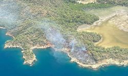Muğla'da Ki Orman Yangını Kontrol Altına Alındı