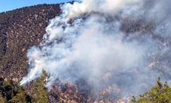 Bolu'daki Orman Yangını 3 Gün Sonra Kontrol Altında