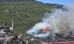 İzmir’de İki Noktada Orman Yangını