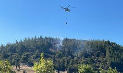 Çanakkale'de Çıkan Orman Yangını 2 Saat İçinde Kontrol Altına Alındı