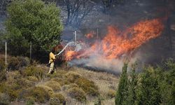 İzmir Orman Yangınlarında 25 Hektar Alan Zarar Gördü