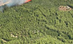 Antalya'da 2 Ayrı Yerde Orman Yangını
