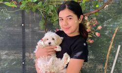 Kaybolan Köpeği, Sosyal Medyada Yayınladığı '10 Bin TL Ödül' İlanıyla Bulundu