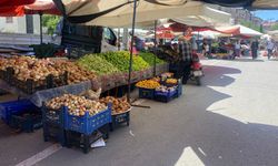 Erbaa'da Havaların Isınmasıyla Sebze Fiyatları Düştü