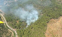 Muğla'da Orman Yangını Kontrol Altına Alındı
