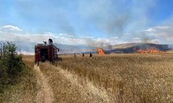 Sulusaray’da Yangın: 15 Dönüm Buğday Tarlası Kül Oldu