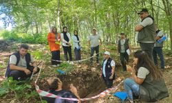 Erbaa Ormanlarında Silvikültürel Müdahale Esasları Eğitimi Gerçekleştirildi