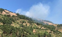 Gaziantep’te Orman Yangını