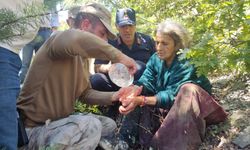 Reşadiye’de Çilek Toplamak İçin Çıktığı Ormanda Kaybolan Yaşlı Kadın Kurtarıldı