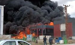 Tekirdağ'da Fabrika Yangını