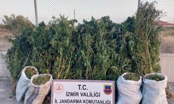 İzmir’de Uyuşturucu Operasyonları Düzenlendi
