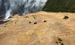 Antalya'da Orman Yangını Meydana Geldi