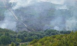 Türkiye- Bulgaristan Sınırında Orman Yangını Meydana Geldi