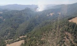 Adana'da Orman Yangını Çıktı
