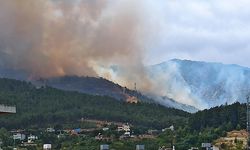 Antakya’da Orman Yangını