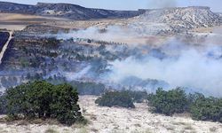 Eskişehir’de Başlayan 3 Ayrı Orman Yangını Erken Müdahale ile Söndürüldü