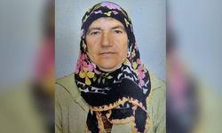 Ordu’da  Kamyonetin Çarptığı Kadın Öldü
