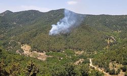 Hatay’da Orman Yangını