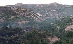 Malatya'da Orman Yangını Kontrol Altına Alındı