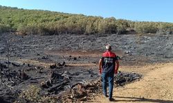 Siirt’teki Orman Yangını, Sonra Kontrol Altına Alındı