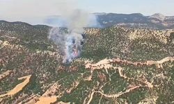 Bolu'da Orman Yangını Meydana Geldi