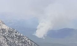 Antalya'da Orman Yangını Başladı