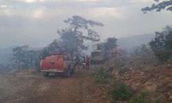 Eskişehir'deki Orman Yangını, Kontrol Altına Alındı