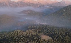 Antalya'daki Orman Yangını 2'nci Gününde Devam Ediyor
