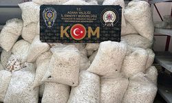 Adana'da Kaçakçılık Operasyonu; 2 Kişi Tutuklandı
