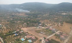 İzmir'de Orman Yangını, Kontrol Altına Alındı