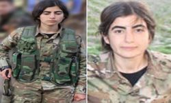 PKK'nın Sözde Sorumlusunu Suriye'de Etkisiz Hale Getirdi