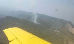 İzmir'de Nedeni Bilinmeyen Orman Yangını