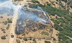 İzmir’de Çıkan Orman Yangını 1 Saat İçinde Kontrol Altına Alındı