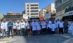 Türkiye’de Veteriner Hekimler, 1 Günlüğüne İşi Bıraktılar