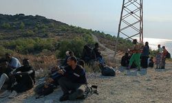 Foça'da Ormanlık Alanda 62 Kaçak Göçmen Yakalandı