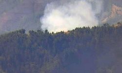 Adana Orman Yangını Kontrol Altına Alındı