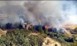 Kastamonu'da Yangın, Kontrol Altına Alındı