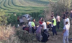 Mevsimlik İşçileri Taşıyan Kamyonet Kaza Yaptı: 3 Ölü, 11 Yaralı