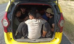Ticari Taksi İle Göçmen Kaçakçılığı